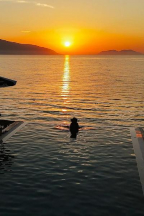Dukes Albania